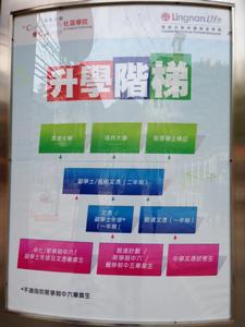 香港高等教育－升學階梯