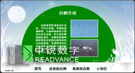 江西省博物館白鶴遷徙多媒體 南昌多媒體