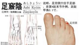 足少陰經筋 足少陰經筋