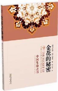 金花的秘密 金花的秘密