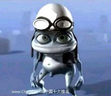 一隻瘋狂的青蛙