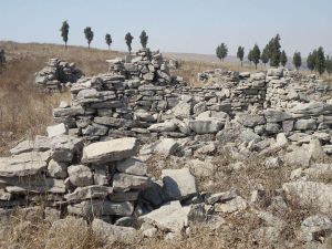 蘇家崮戰鬥 蘇家崮戰鬥