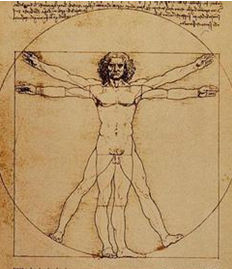 人體黃金分割