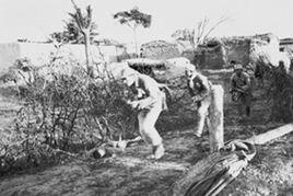 川西會戰 川西會戰