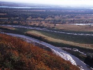 珍寶島濕地國家級自然保護區