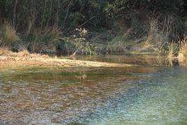 栲栳古道 栲栳古道