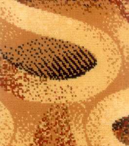 威海海馬集團公司