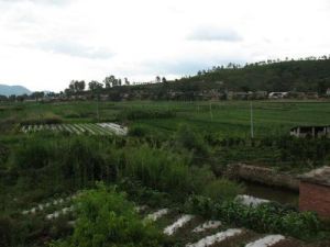 豆地灣村 豆地灣村