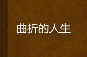 曲折的人生 曲折的人生