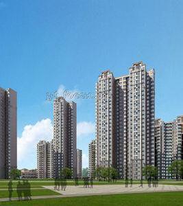 黃金家園 黃金家園