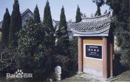 項城袁寨村 項城袁寨村