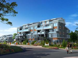 北京南海清島灣 北京南海清島灣