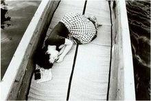 荒木經惟為妻子拍攝的照片