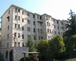 上南十二村 上南十二村