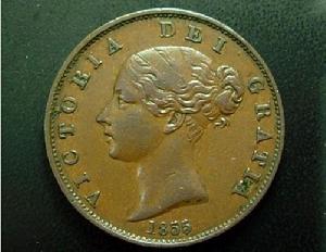 1855年 1855年