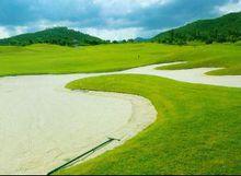 高爾夫標準球場