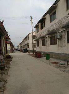 徐莊村[山東省菏澤市單縣謝集鄉白寨村徐莊]