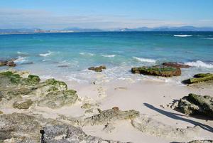 熱帶海洋性氣候 熱帶海洋性氣候