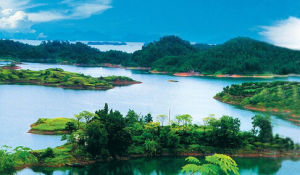 三衢國家森林公園 三衢國家森林公園