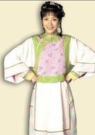 施公奇案[2006年歐陽震華主演TVB電視劇]