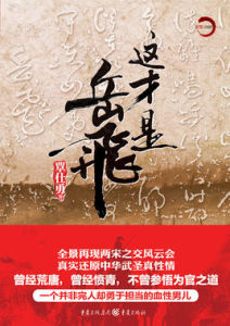 這才是岳飛 這才是岳飛