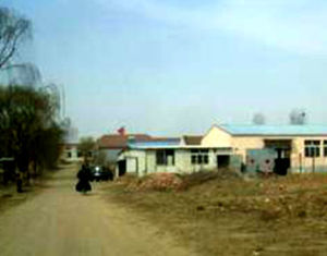 張家西城東村 張家西城東村