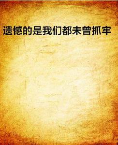 遺憾的是我們都未曾抓牢 遺憾的是我們都未曾抓牢