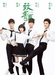 致青春[2016年楊文軍執導電視劇]