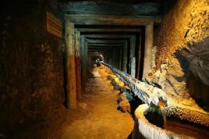 維利奇卡 維利奇卡