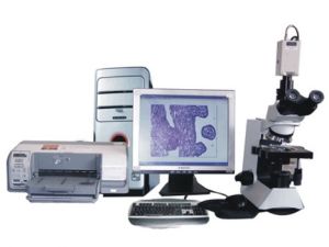 SP2000病理圖文報告系統
