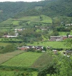 中卡自然村 中卡自然村