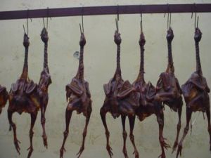 中國十大禁菜 中國十大禁菜