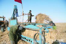 南崗村[黑龍江林甸縣三合鄉轄村]