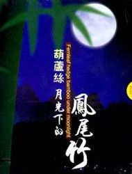 《月光下的鳳尾竹》 《月光下的鳳尾竹》