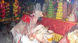 鳳山莊龍年民俗文化節 鳳山莊龍年民俗文化節