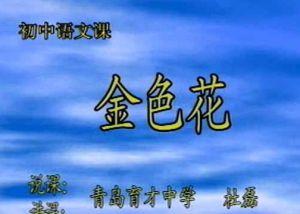 《金色花》 《金色花》