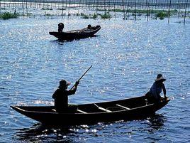 湖陽鎮[當塗縣下轄鎮]