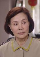 我和丈母娘的十年戰爭[2012年歸亞蕾主演電視劇]