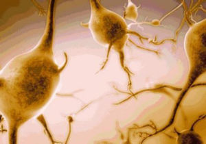 糖尿病神經病變 糖尿病神經病變