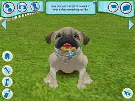 寵物狗2006 寵物狗2006