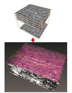 全自動逐層切片成像法 全自動逐層切片成像法