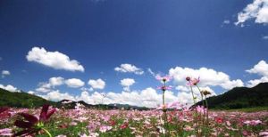 響水峽生態度假區 響水峽生態度假區