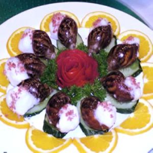 法式拿破崙蝸牛 法式拿破崙蝸牛