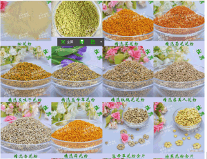 卓宇蜂花粉 卓宇蜂花粉