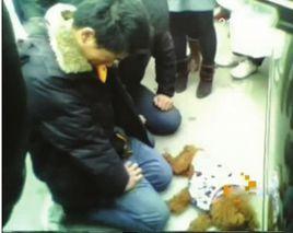 人給狗下跪 人給狗下跪