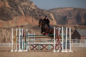 奔騰年代馬術俱樂部 奔騰年代馬術俱樂部
