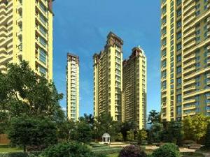 奧園紅館 奧園紅館