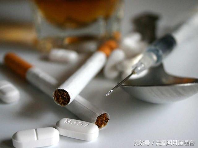 罌粟之毒誰之過?了解罌粟花的歷史