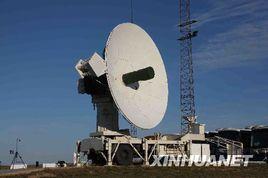 腦木更蘇木 腦木更蘇木