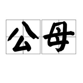公母 公母